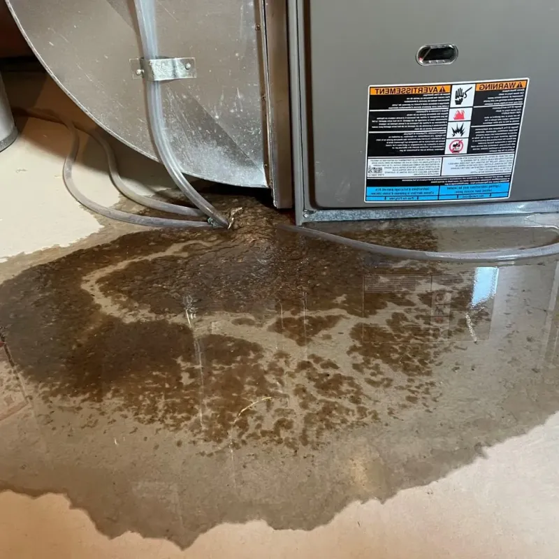 Pipe Burst and Leak Restoration in Amesbury, MA